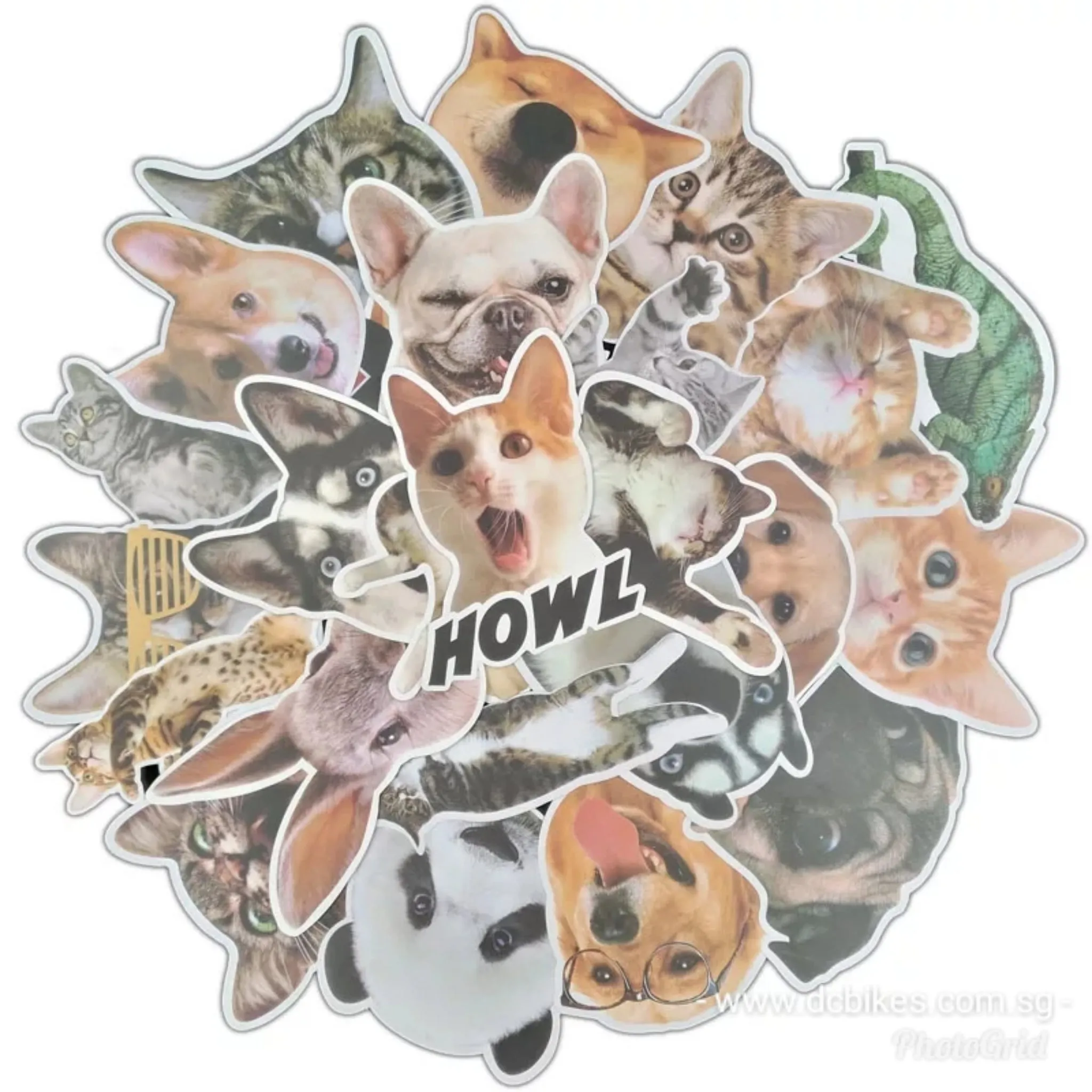 25 Pieces Cute Animals DIY Colour Random Sticker Bomb Decals