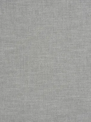 Alpine - Ash