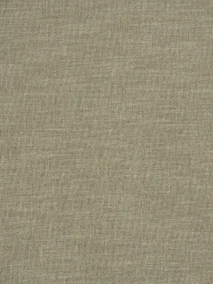 Alpine - Cement