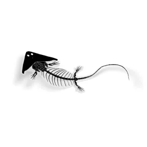 Diplocaulus Fossil Amphibian Sticker
