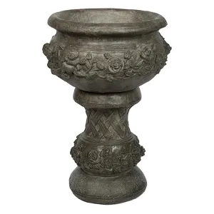 Fancy Rose Pot