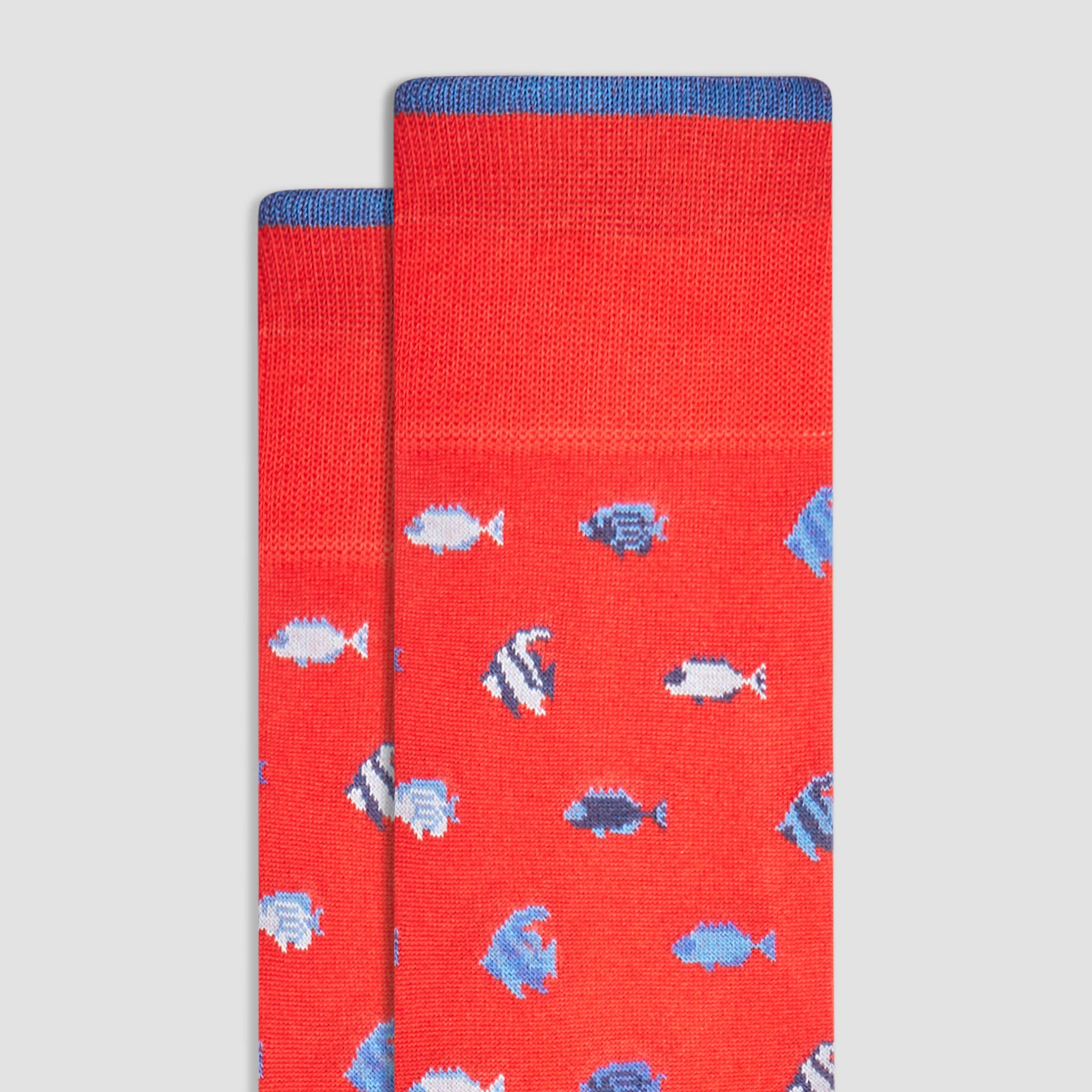 Fish Mid-Calf Socks