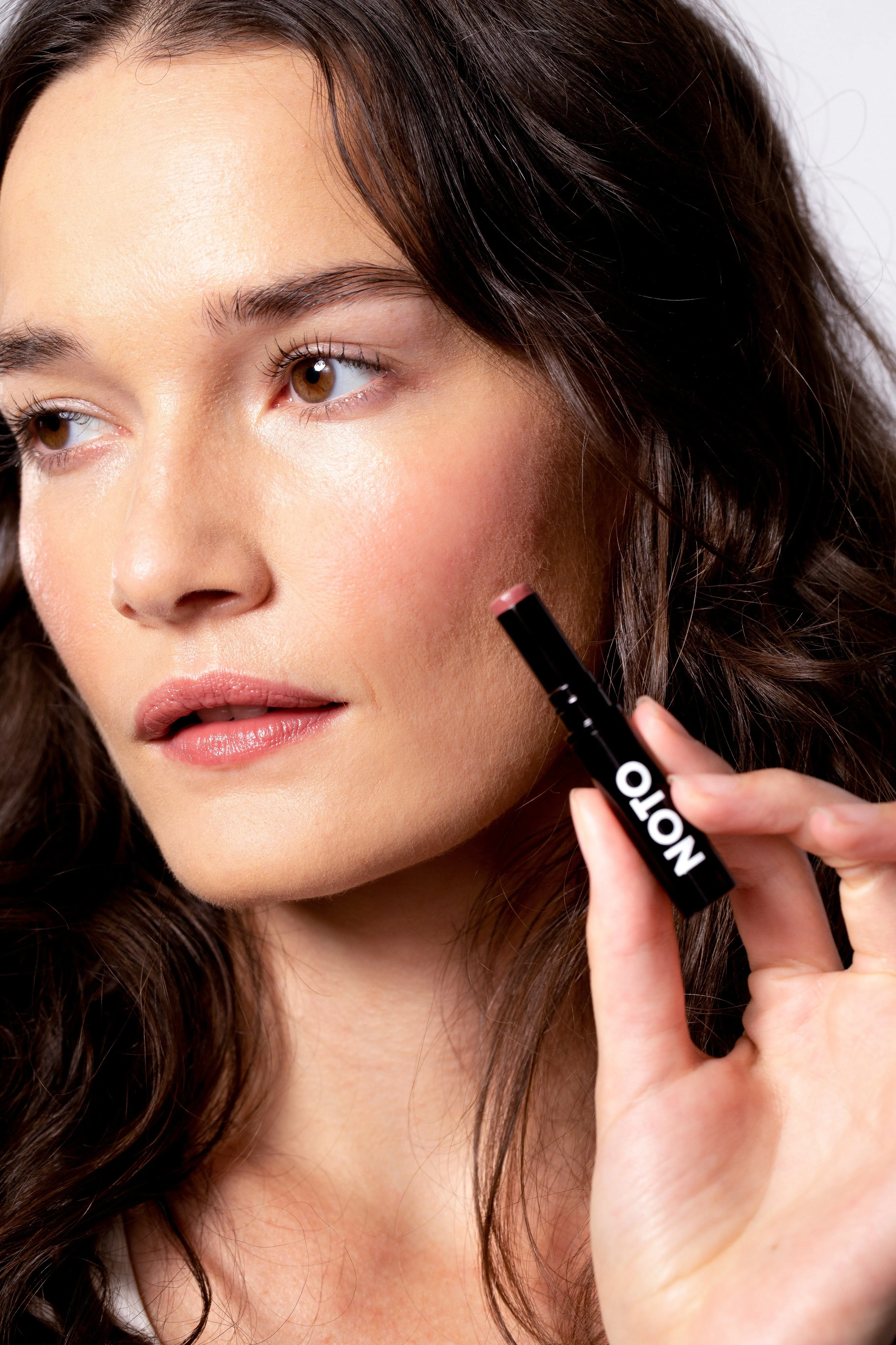 FIVE: MULTI-BENE STICK // LIPS   CHEEKS