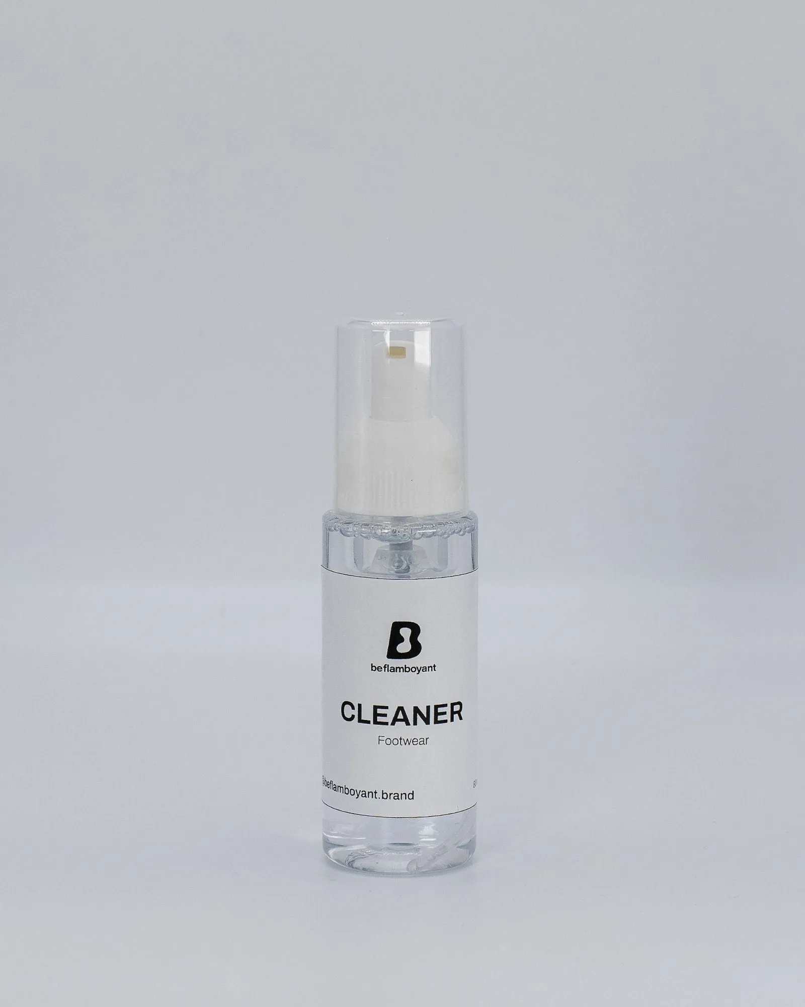 Footwear Cleaner