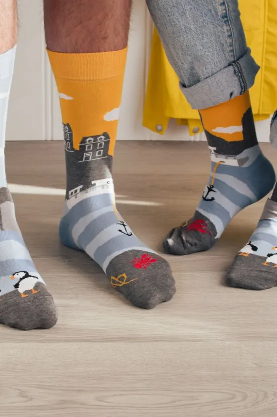 Friday Socks - Mens Mismatched Socks | East Coast Canadian Landscape