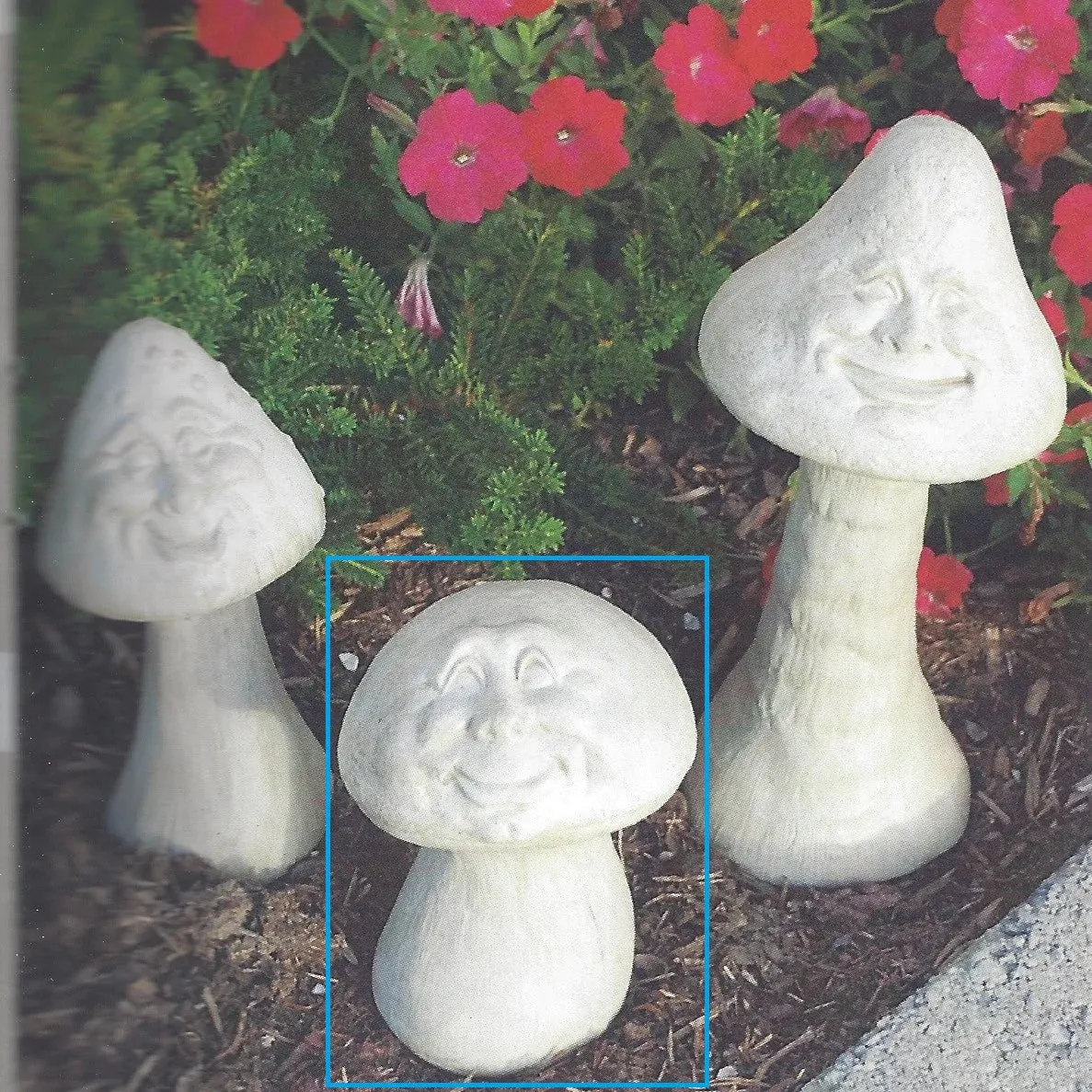 Happy Mushroom