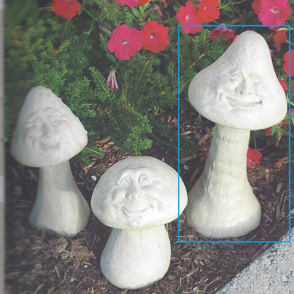 Happy Mushroom