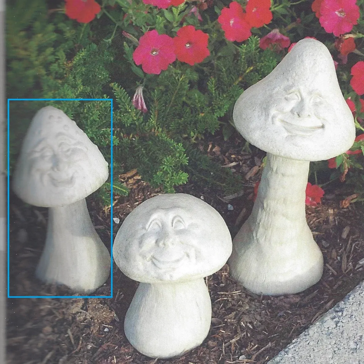 Happy Mushroom