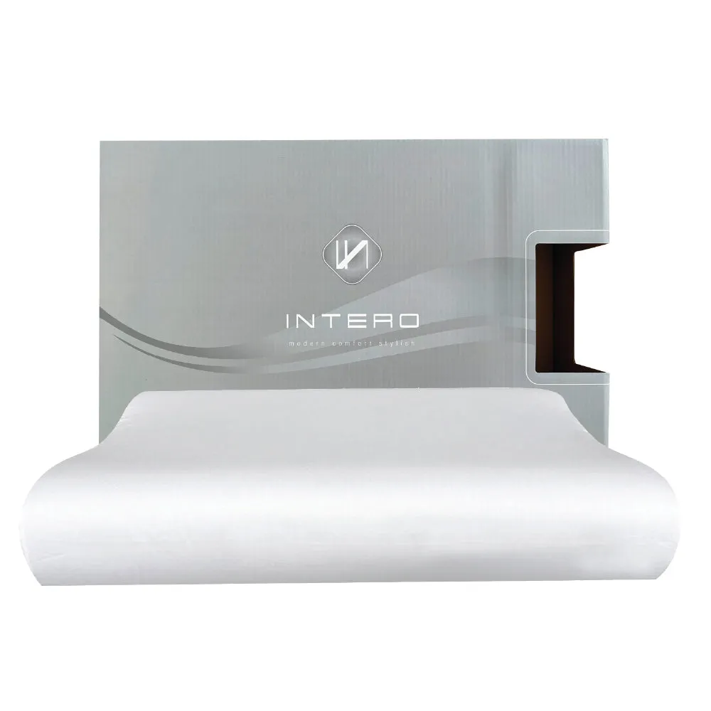 Intero Visco-AIR Charcoal Memory Foam Contour Pillow