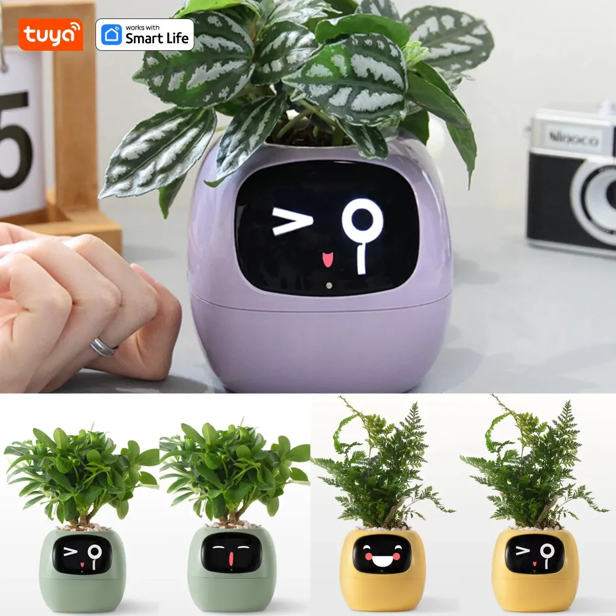 Kawaii Tuya Ivy Smart Planter 🌱✨ - 49 Adorable Expressions & 7 Smart Sensors for Effortless Plant Care! 🌼💖