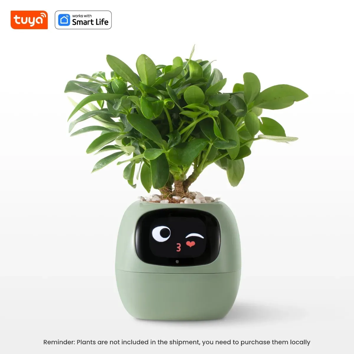 Kawaii Tuya Ivy Smart Planter 🌱✨ - 49 Adorable Expressions & 7 Smart Sensors for Effortless Plant Care! 🌼💖