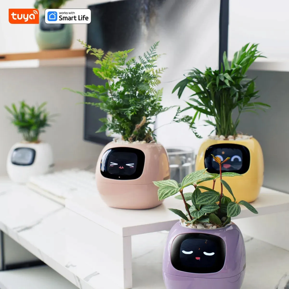 Kawaii Tuya Ivy Smart Planter 🌱✨ - 49 Adorable Expressions & 7 Smart Sensors for Effortless Plant Care! 🌼💖