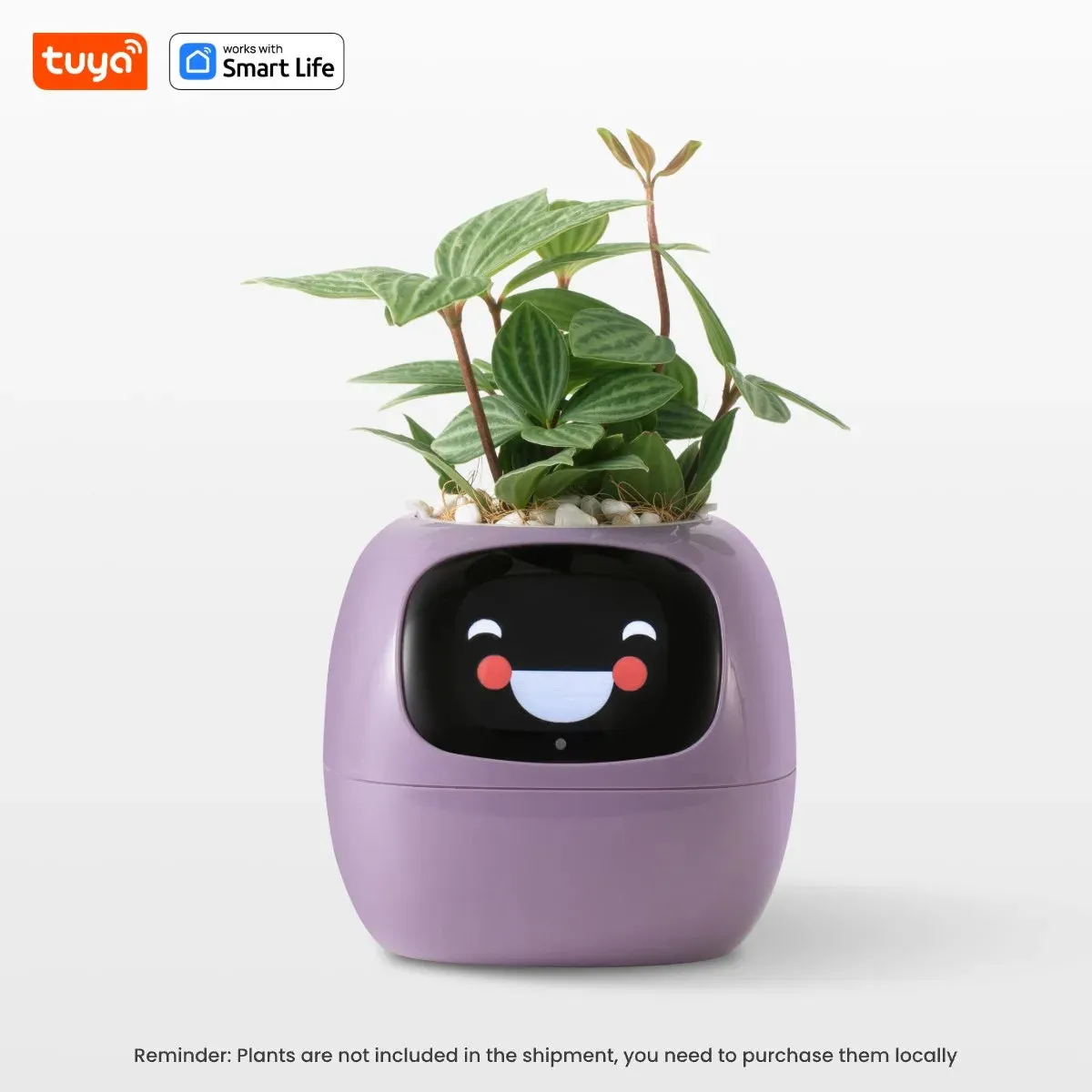 Kawaii Tuya Ivy Smart Planter 🌱✨ - 49 Adorable Expressions & 7 Smart Sensors for Effortless Plant Care! 🌼💖