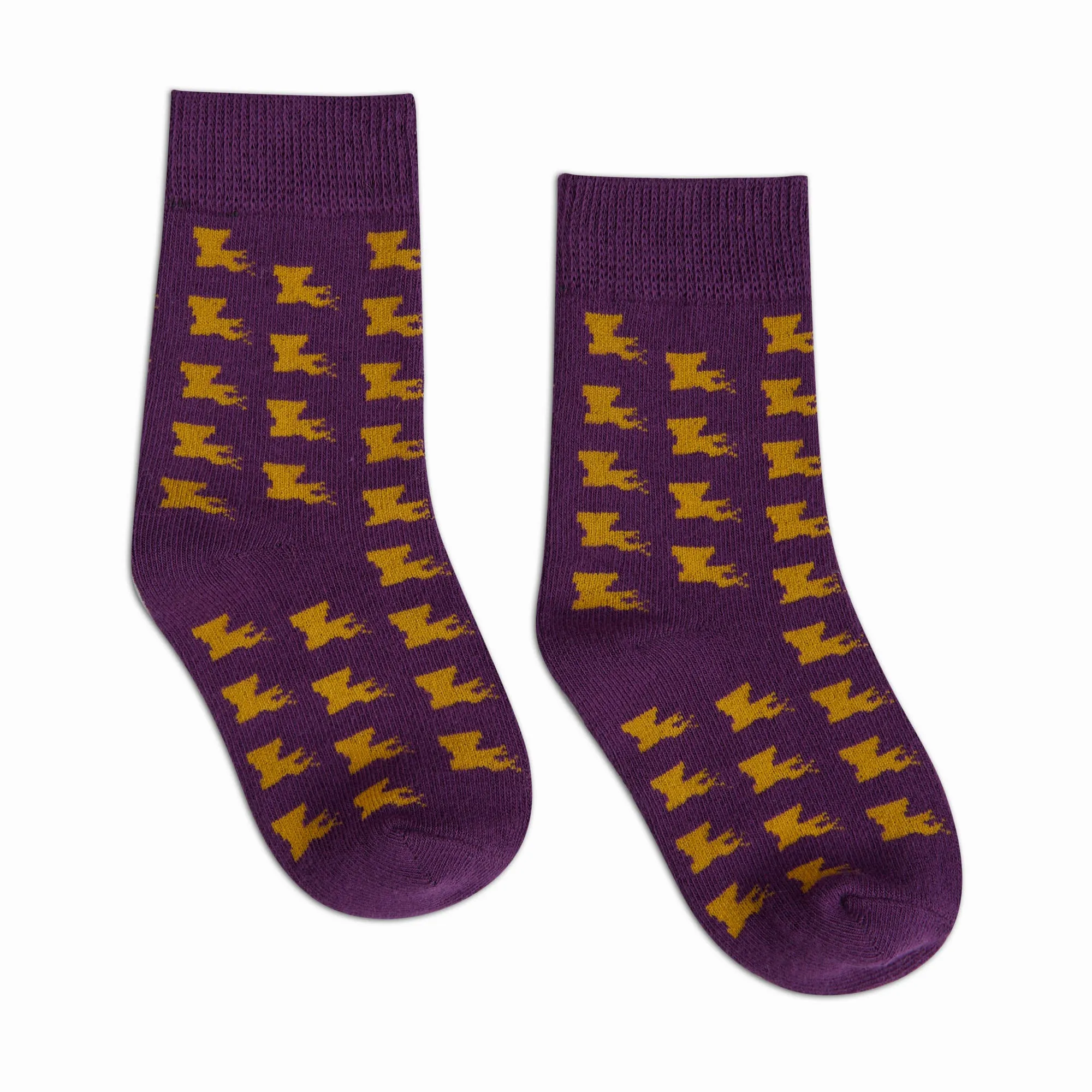 Little Kid Louisiana Socks