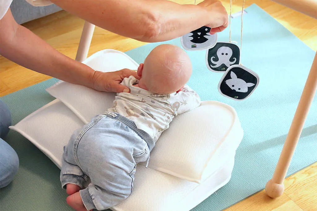 Mimos Smart Flash Card - High-Contrast Montessori Cards for Baby's Visual Training and Dexterity