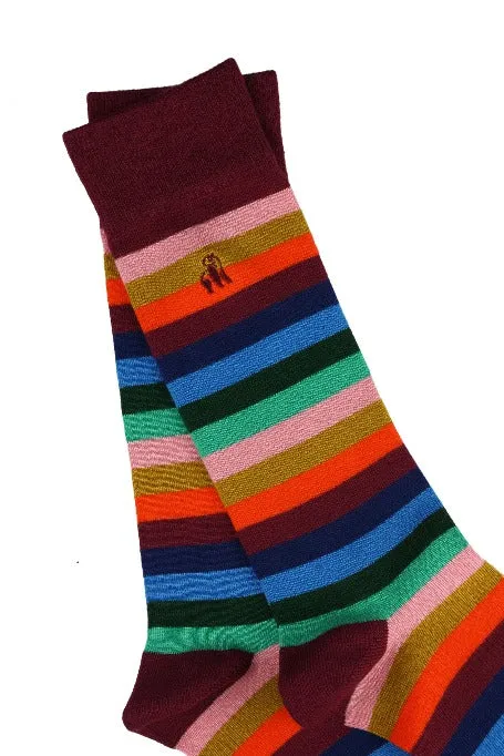 Multi Coloured Fine Stripe Bamboo Socks by Swole Panda, Size 4-7