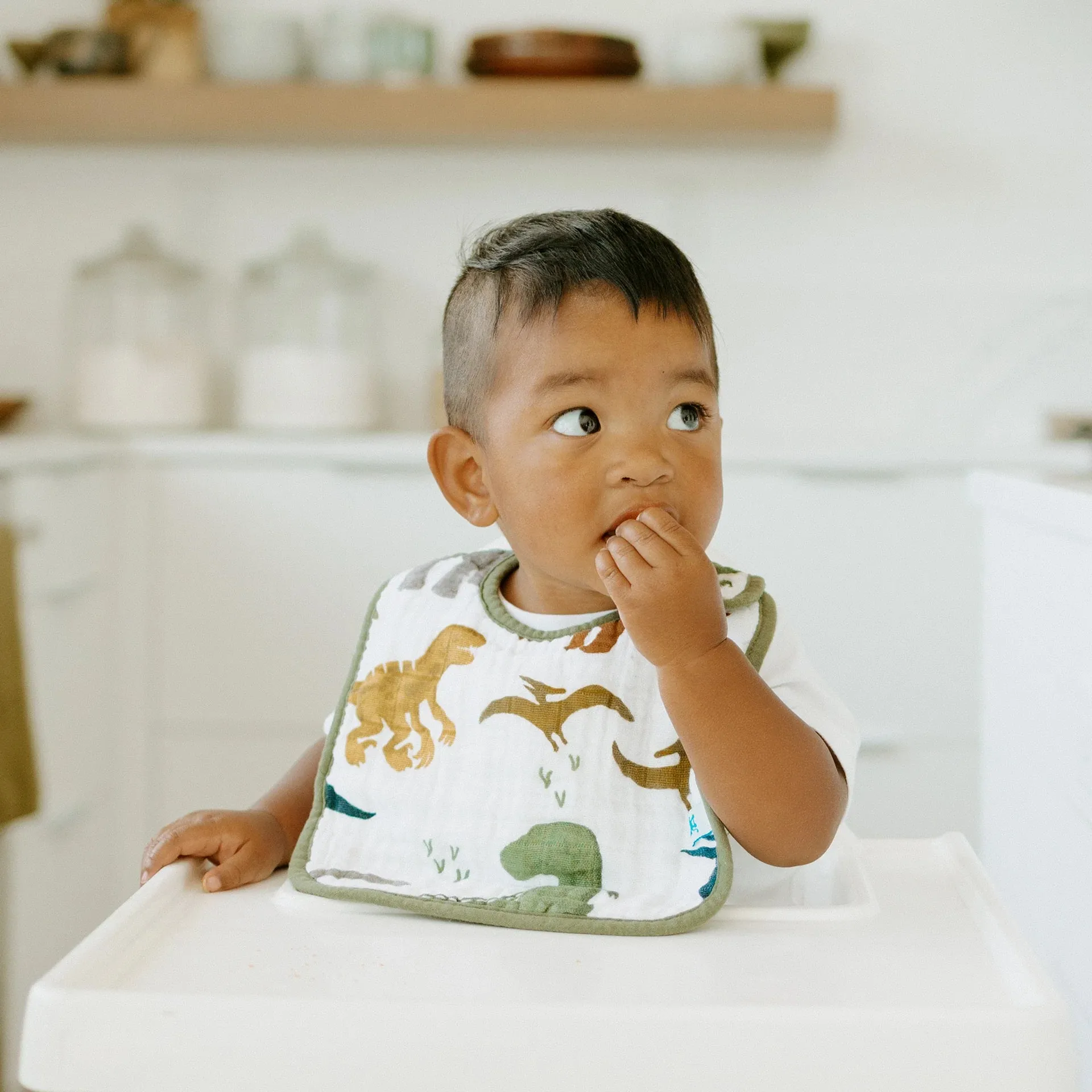 Muslin Classic Bib 3pk - Dino Friends