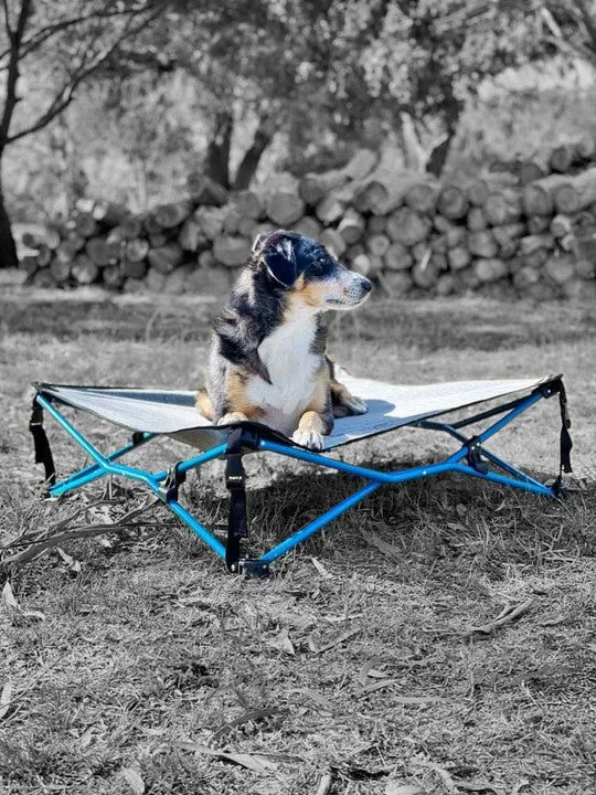 Navigator Gear Navi Dog Bed Grey Blue Up to 70Kg