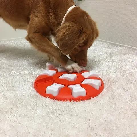 Nina Ottosson Dog Smart Level 1 (Easy)
