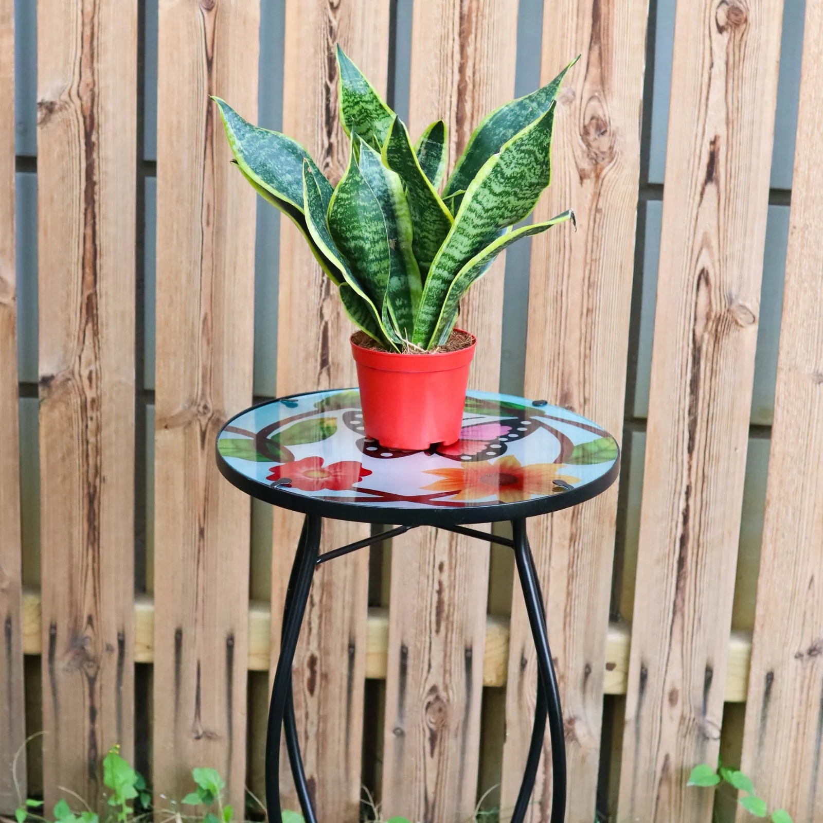 Round Side Mosaic Table With Small Butterfly Design
