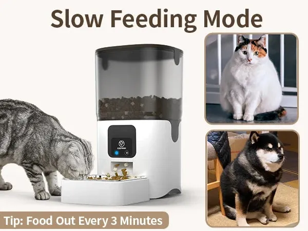 Smart Cat Feeder