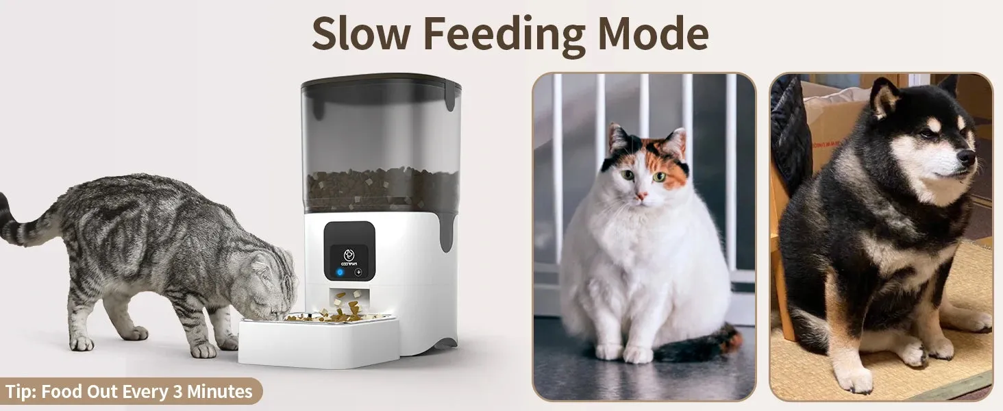 Smart Cat Feeder