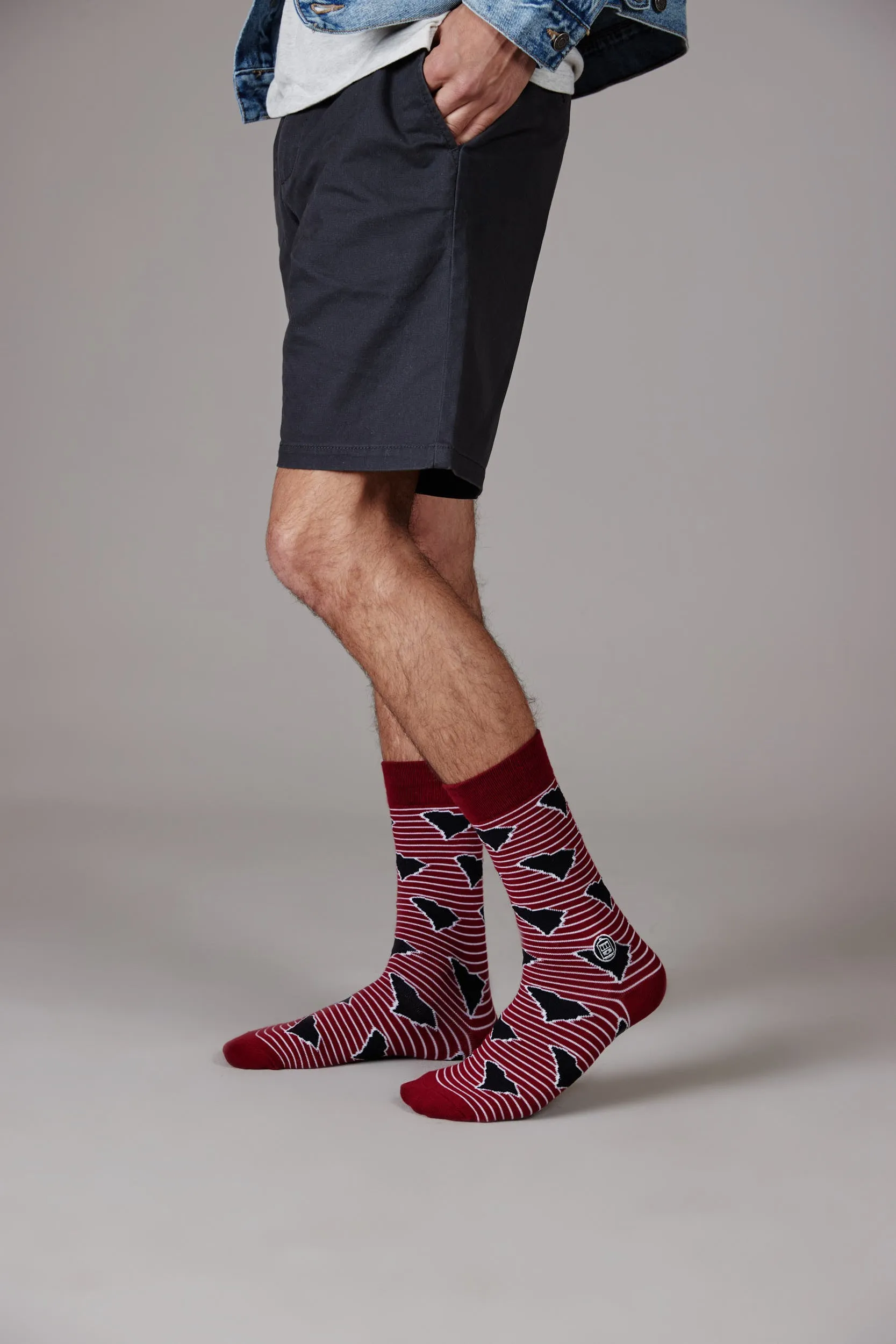 South Carolina Socks