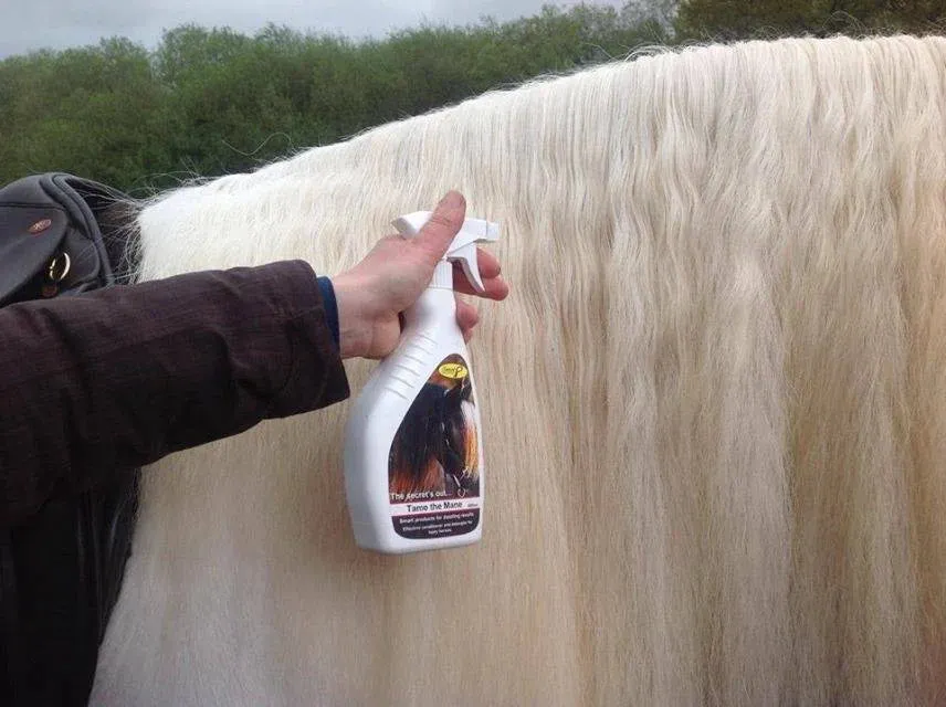Tame the Mane